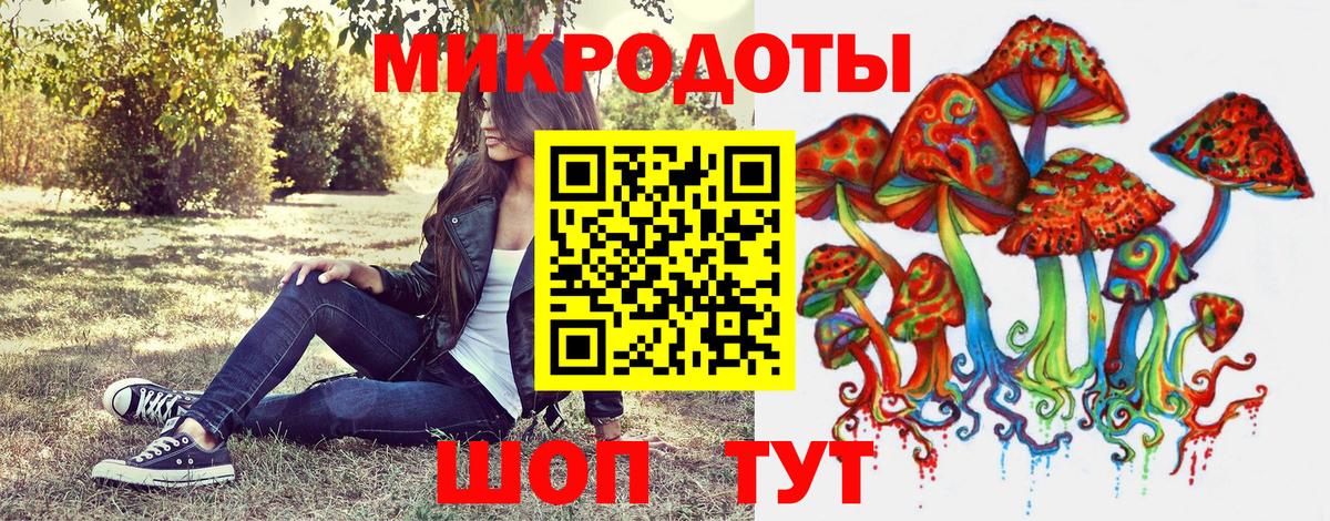 Урус-Мартан  Галлюциногенные грибы MAGIC MUSHROOMS  Вход с VPN 